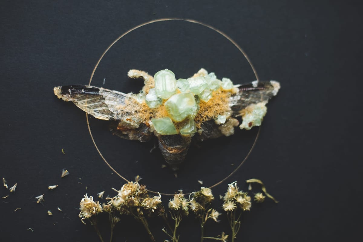 Creation and Confidence