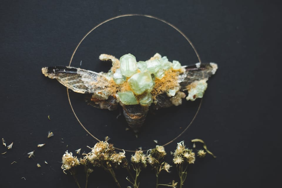 Creation and Confidence